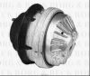 BORG & BECK BEM3274 Engine Mounting